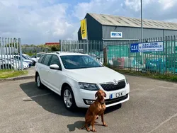 White Used 2015 Skoda Octavia SE Van | £4,595