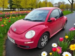 Red Used 2008 VW Beetle Hatchback | £1,995 (Fair price)