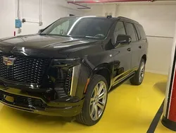 New 2025 Cadillac Escalade SUV | £175,000