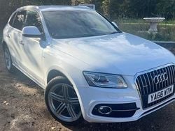 White Used 2017 Audi Q5 S-line plus SUV | £13,860 (Fair price)