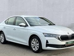 White Used 2024 Skoda Octavia SE Technology Hatchback | £18,990 (Fair price)