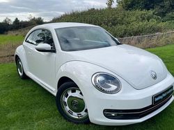 White Used 2012 VW Beetle Design Hatchback | £8,995 (A bit pricey)