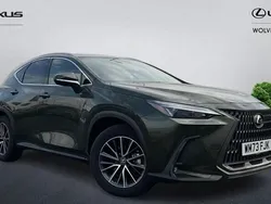 Green Used 2023 Lexus NX350h Estate | £38,999 (Super price)