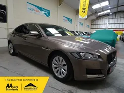 Bronze Used 2015 Jaguar XF Portfolio Sedan | £12,500 (Fair price)