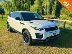 White Used 2016 Land Rover Range Rover evoque SE Estate | £8,995 (Super price)