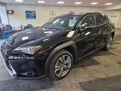 Black Used 2021 Lexus UX 300e SUV | £14,999