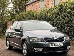 Grey Used 2016 Skoda Octavia SE L Hatchback | £4,495