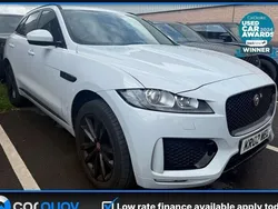 White Used 2020 Jaguar F-Pace Chequered Flag SUV | £19,995 (Good price)