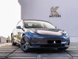 Grey Used 2020 Tesla Model 3 Long Range Sedan | £19,490 (Fair price)