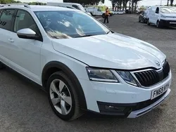 White Used 2019 Skoda Octavia Scout 4x4 Estate | £8,950 (Super price)