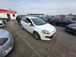 White Used 2012 Fiat Punto Evo Hatchback | £1,995 (Fair price)