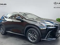 Black Used 2023 Lexus NX450h+ SUV | £38,804