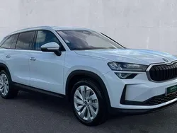 White New 2025 Skoda Kodiaq SE L SUV | £41,990 (Fair price)