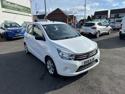 White Used 2015 Suzuki Celerio SZ3 Hatchback | £4,999 (Expensive)