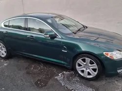 Green Used 2009 Jaguar XF Premium Luxury Sedan | £1,875 (Super price)