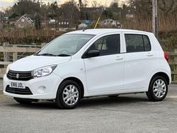 White Used 2016 Suzuki Celerio Hatchback | £4,695 (Good price)