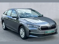 Grey New 2024 Skoda Octavia SE Technology Estate | £24,350 (Super price)