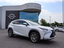 White Used 2017 Lexus NX300h Luxury Line SUV | £18,995 (Good price)