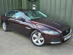 Red Used 2015 Jaguar XF Portfolio Sedan | £6,900 (Fair price)