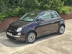 Purple Used 2015 Fiat 500 Lounge Hatchback | £4,395 (Good price)