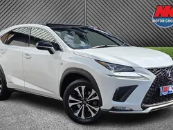 White Used 2019 Lexus NX300h Sport Line SUV | £20,750 (Fair price)