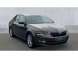 Brown Used 2019 Skoda Octavia SE L Hatchback | £13,290 (Fair price)