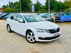 White Used 2019 Skoda Octavia SE Drive Hatchback | £7,995 (Fair price)