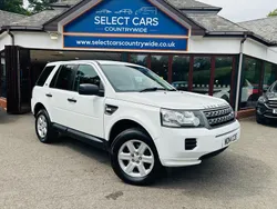 White Used 2014 Land Rover Freelander 2 S SUV | £4,995 (Expensive)