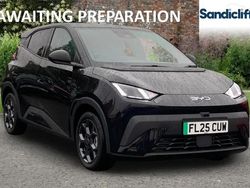 Metallic polar night black New 2025 BYD Dolphin Comfort Hatchback | £18,500 (Super price)