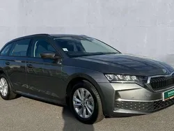 Grey New 2024 Skoda Octavia SE Technology Estate | £24,490 (Good price)