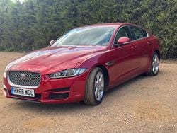 Red Used 2016 Jaguar XE Portfolio Sedan | £6,485 (Fair price)