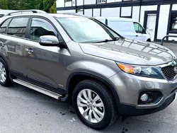 Silver Used 2010 Kia Sorento 2 SUV | £3,599 (Good price)