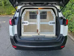 White Used 2019 Peugeot 5008 Active MPV | £10,995 (Expensive)