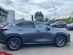 Grey Used 2023 Lexus NX350h Estate | £35,585 (Fair price)