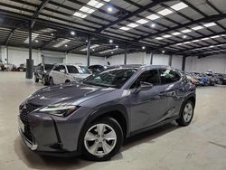 Grey Used 2019 Lexus UX SUV | £13,330 (Good price)