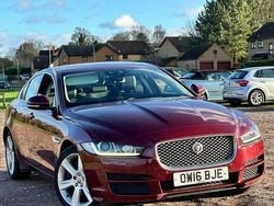 Red Used 2016 Jaguar XE Portfolio Sedan | £7,894 (Fair price)