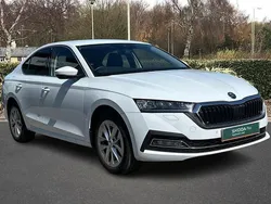 White Used 2024 Skoda Octavia SE L Hatchback | £21,000 (A bit pricey)