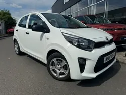White Used 2019 Kia Picanto 2 Hatchback | £8,494 (Fair price)