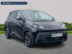 Black New 2025 BYD Dolphin Comfort Hatchback | £20,999 (Super price)