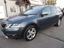 Grey Used 2019 Skoda Octavia Scout 4x4 Estate | £12,995 (Fair price)