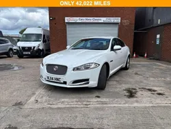 White Used 2014 Jaguar XF Luxury Sedan | £8,495 (Fair price)