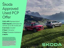 Moon white metallic Used 2020 Skoda Karoq SE SUV | £15,495 (Good price)