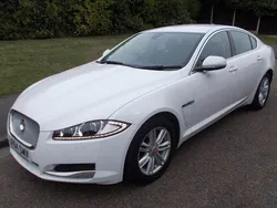 White Used 2014 Jaguar XF Luxury Sedan | £6,690 (Fair price)