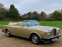 Willow gold Used 1981 Rolls Royce Corniche Cabriolet | £129,995
