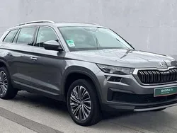 Grey Used 2024 Skoda Kodiaq SE L Executive SUV | £28,950 (Fair price)
