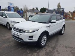 White Used 2014 Land Rover Range Rover evoque Pure SUV | £9,000 (Good price)