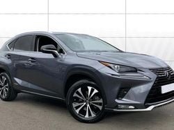 Grey Used 2020 Lexus NX300h SUV | £24,661 (Fair price)