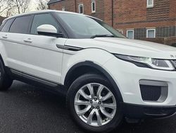 White Used 2015 Land Rover Range Rover evoque SE Estate | £7,399 (Good price)