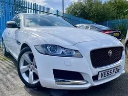 White Used 2015 Jaguar XF Portfolio Sedan | £8,500 (Fair price)