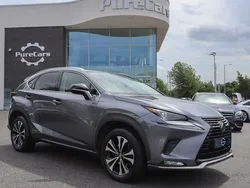 Grey Used 2021 Lexus NX300h SUV | £25,990 (Good price)